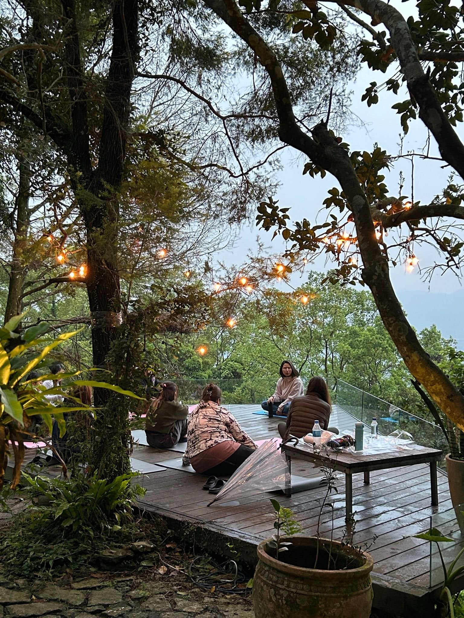 Ayurveda Wellness Consultation